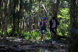 Elephant Trail Race - Accommodation in Brisbane
